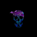 R!ZZLORDZ