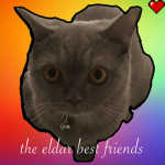 the eldar best friends