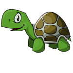 The Turtle SqUad the cool