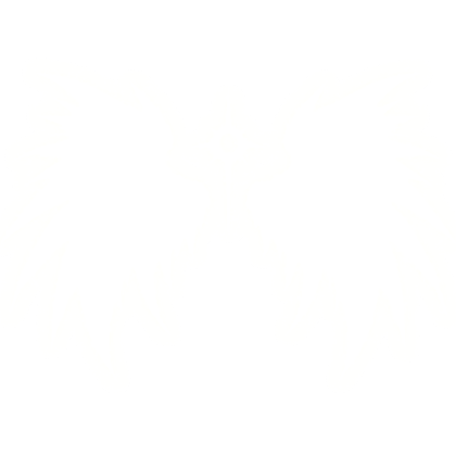 Big Emissive Empyre Angel Wings