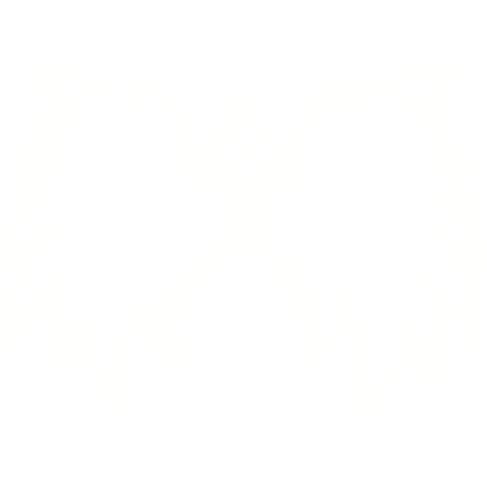 Big Emissive Empyre Angel Wings
