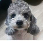 허또리TV 팬 그룹