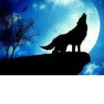United Werewolfs