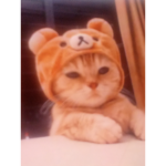 PAWsitive People