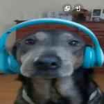 ꜱᴡᴀɢɢʏ ɢɪʀʟꜱ