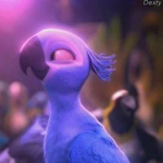 Chilly.Parrotsz