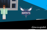 Charlotte Hornets [NBA]