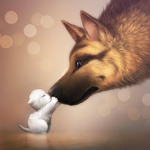 AnimaIs United!