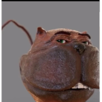 Mrdonkeys