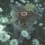 .⋆Lazy Aesthetic⋆.