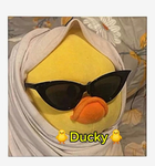Ducky1RBX