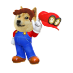DOGE AND MARIO FANS