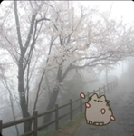 ⋆Bxby⋆