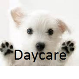 The Dogy Daycare's pet shop