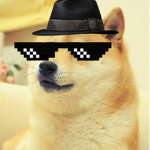 doge coin studios