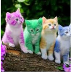 {The cuties} <3