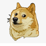 DOGE FAN club :D XD