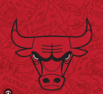 Bulls studio