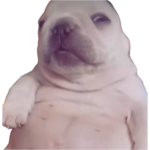 Heyyyy kids