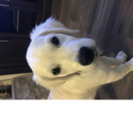 Bindi's Puppies