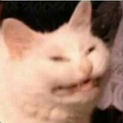 Cat meme Roblox decal