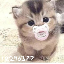40% test