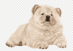 Chubby Bubby Group