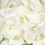 Petals Besties :D