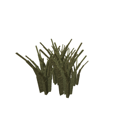Grass Union