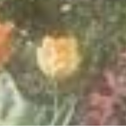 for