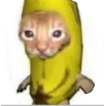 Thebananacats