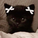 ¿ Mochi?
