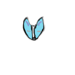 Blue Fox Trading