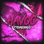 い Havoc