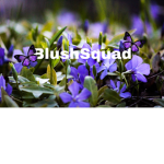 BlushSquad