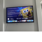 The sponge bob and Spencer ,king,Enzo,Arthur,Gary