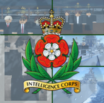 Royal Naval Intelligence Corps.