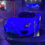 Roblox Southwest Florida Fan Group (not SWFL)