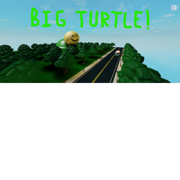 a big Turtle