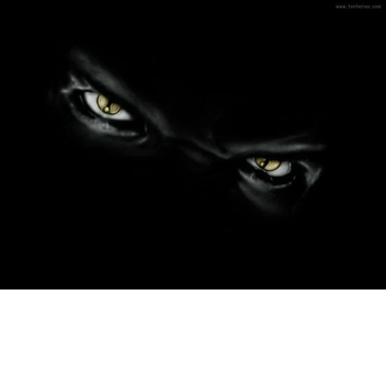 The Search [PC ONLY]