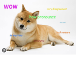 TK doge hits