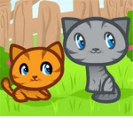 Warrior Cats, MoonClan
