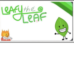 Leafy the leafs group