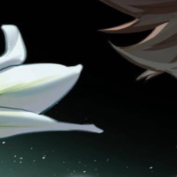 ✧.*