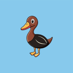 Duck Donations