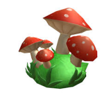 MushRooms People