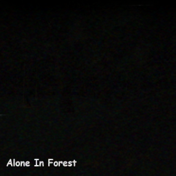 Alone In Forest
