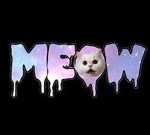 Meow!