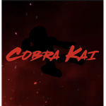 Cobra Kai Karate!!