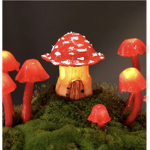 *~Mushroom gang~*